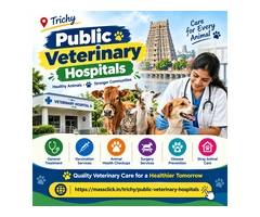 Explore Public Veterinary Hospitals for Veterinary Services