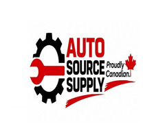 Buy Automotive Zip Ties In Canada - Auto Source Supply