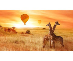 Masai Mara Balloon Safaris