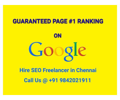 SEO Freelancer in Chennai Guaranteed 1st-Page Results