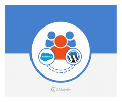 Salesforce WordPress Integration - CRMJetty