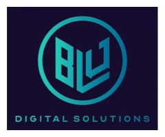 Blu Digital Solutions Jacksonville
