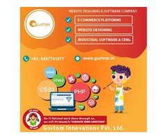 Website Designing And Software Development Company In Noida