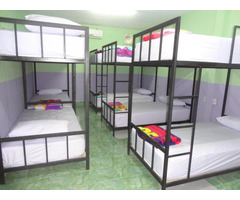 The Best Backpacker Hostels in India | Bulbulonthewing