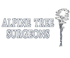 Alpine Tree Surgeons - Basingstoke