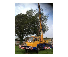Alpine Tree Surgeons - Basingstoke - 4
