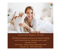 Emotional Support Dog