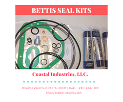 Get the Best Bettis Seal Kits for Your Machine