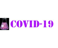 COVID-19 SWAB Test (PCR)