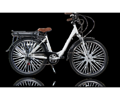 Electric Bike | Electric Transport