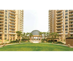 Ready To Move Flats In Ace Golfshire Noida Expressway