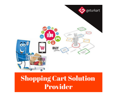 Shopping Cart Solution Provider