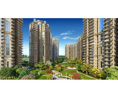 Luxurious Budget Apartments at Ajnara Ambrosia Noida