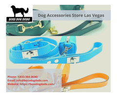 Dog Accessories Store in Las Vegas | Boss Dog Dodo