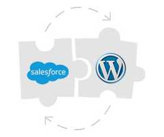 Salesforce Customer Portal, Salesforce WordPress Plugin