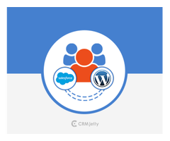 Salesforce Customer Portal, Salesforce WordPress Plugin - 2