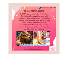 Complete Autism Therapy School ( C-A-T School) - 3
