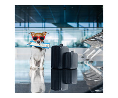 Pet Relocators JetSet Pets LLC