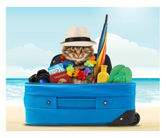 Pet Relocators JetSet Pets LLC - 4