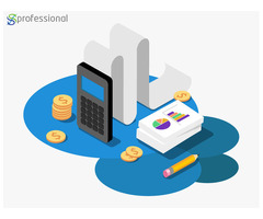 Accounting Service USA - SNS Professional - 2