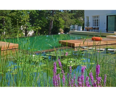 Sod Installation San Antonio