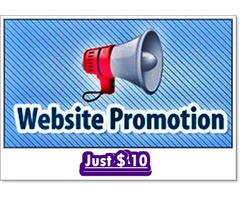I Will Do Your Website Promotion
