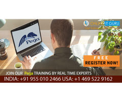 Best Pega Online Training in Hyderabad