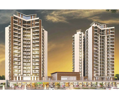 2/3 BHK Lavish Apartments in ACE Divino