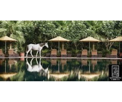 ATS Knightsbridge Sector 124 Ats Noida Expressway
