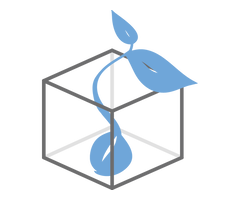 SEO Optimization Company