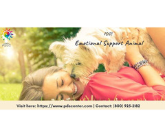 Emotional Support Letter