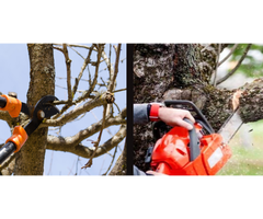 Martin's Tree Service Inc. - 4