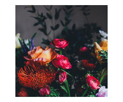 Are You Looking for Best Florist in Geelong?