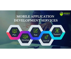 Software and Product Development Company in Indore - Seppo - 3