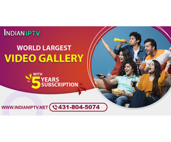 IPTV Under $5/Month, Over 600 Desi Channels
