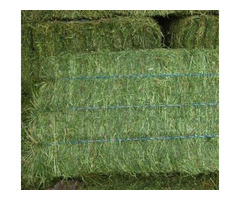 Great Quality hay Bales for Sale