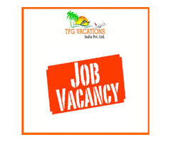 Immediate Requirement Candidate For Online Tourism Promotion