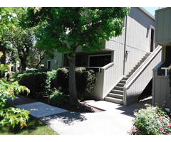 Property Management in San Jose CA - 3