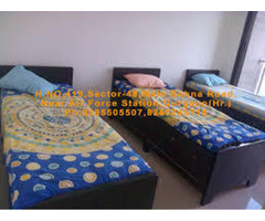 PG Accomodation in Gurgaon Sector 48