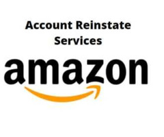 Amazon or Ebay account Suspension?