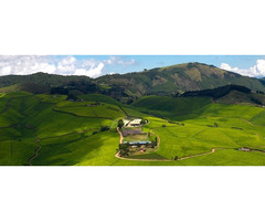 Good Places to visit in Rwanda – Hermosa Life Tourism