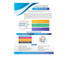 Transcription and Translation Data Entry Manpower supply