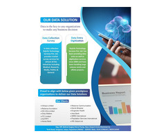 Transcription and Translation Data Entry Manpower supply - 3