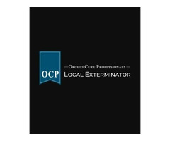 Eixy Bed Bug Exterminator Manhattan
