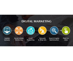 Digital Marketing Company in Ambala, Haryana