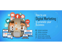 Digital Marketing Company in Ambala, Haryana - 2