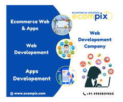 E-commerce Development in Udaipur