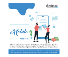 Web Testing Services In Noida & Delhi