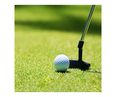 Golf Putting Grass Point Cook - Amazing Turf - 2