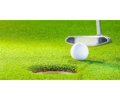 Golf Putting Grass Point Cook - Amazing Turf - 3